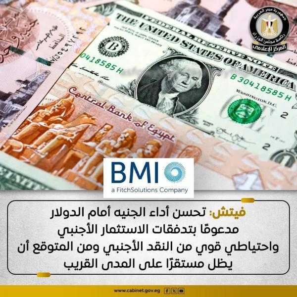 وكالة فيتش تشيد بتحسن أداء الجنيه أمام الدولار