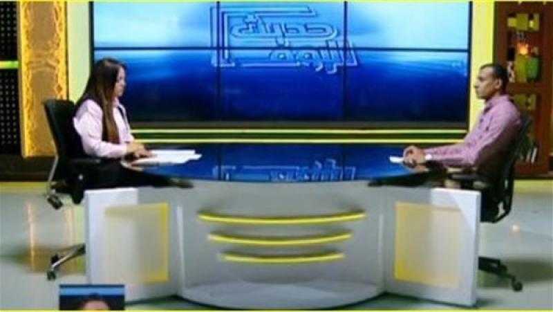 البيطريين: لسنا مع إبادة الكلاب.. ونُطالب بالرعاية وتكاتف الجهود لحل الأزمة