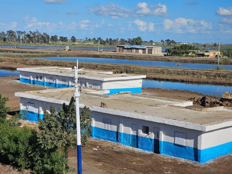 ”حماية البحيرات” يعلن إنجازًا نوعيًا في تطوير المزارع السمكية.. تفاصيل