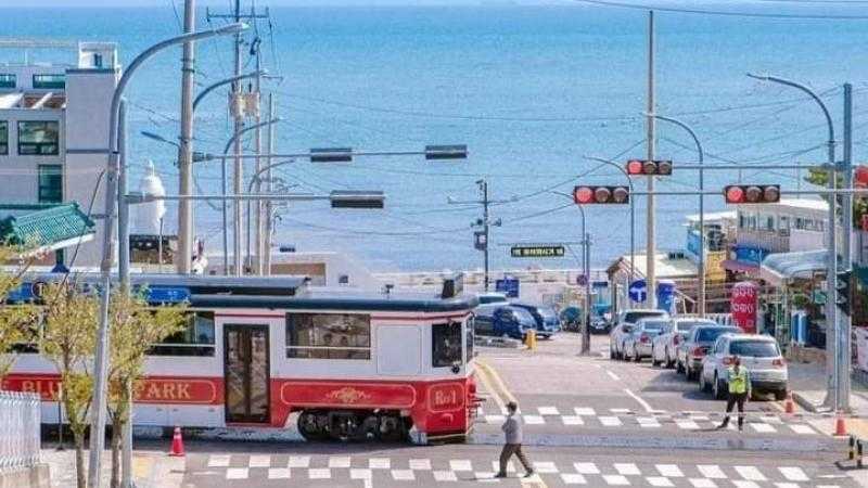 قرار جمهوري بإنشاء منطقة جرجوب الاقتصادية الخاصة