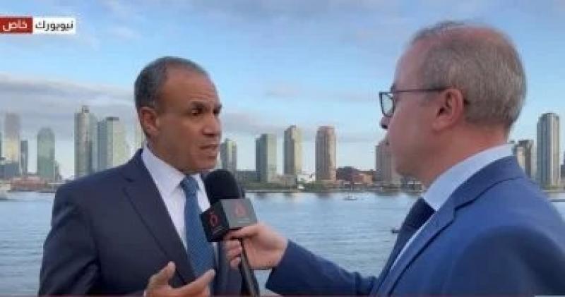 وزير الخارجية: رسالة مصر وقف فورى للحرب فى غزة وحل الدولتين سبيل التسوية