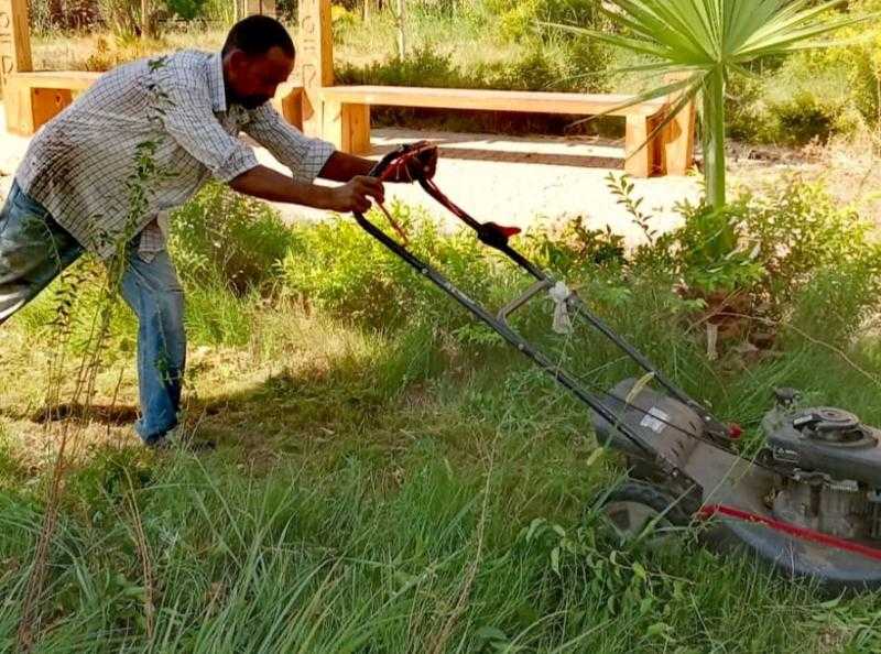 رفع كفاءة المسطحات الخضراء بمنطقة حوض 18 بمدينة الأقصر