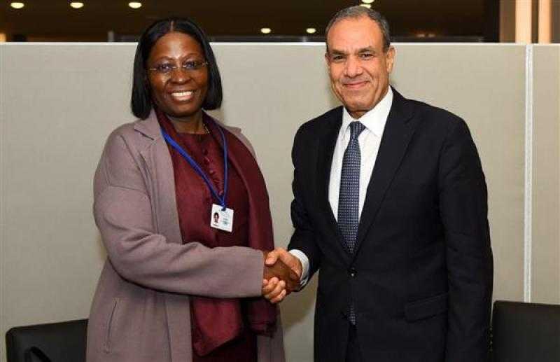 وزير الخارجية يؤكد اهتمام مصر بتعزيز العلاقات الثنائية مع موزمبيق