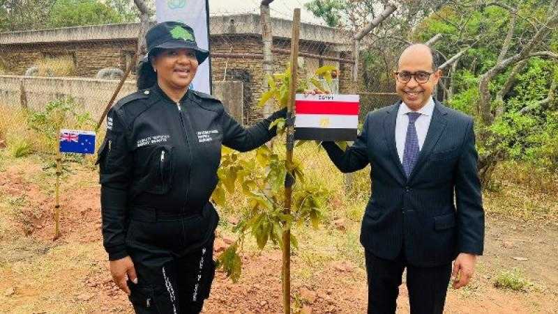 سفير القاهرة بجنوب إفريقيا يغرس شجرة باسم مصر في غابة الحرية ببريتوريا