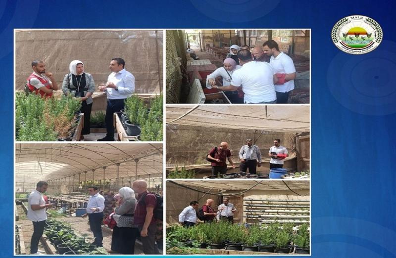 خط أحمر