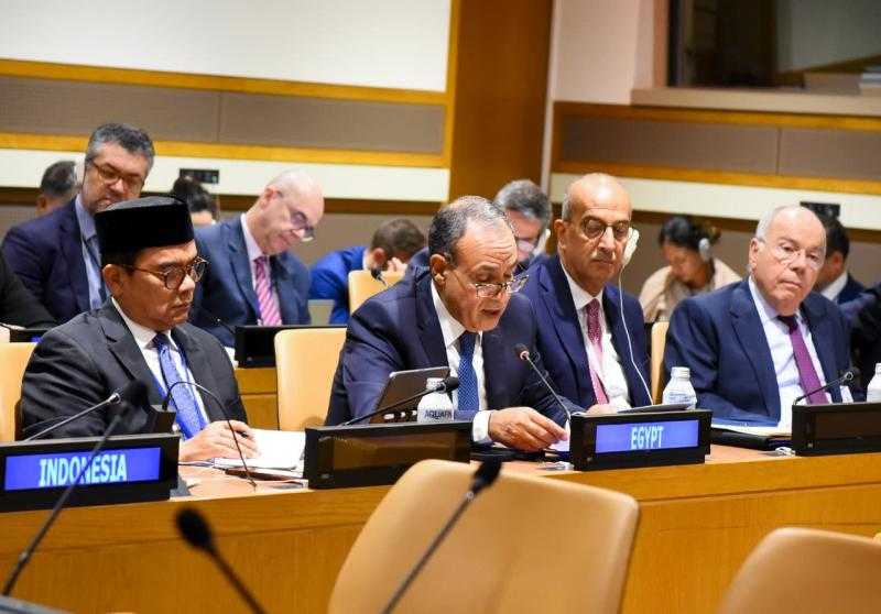 وزير الخارجية يشارك في اجتماع وزراء خارجية دول مجموعة البريكس| صور