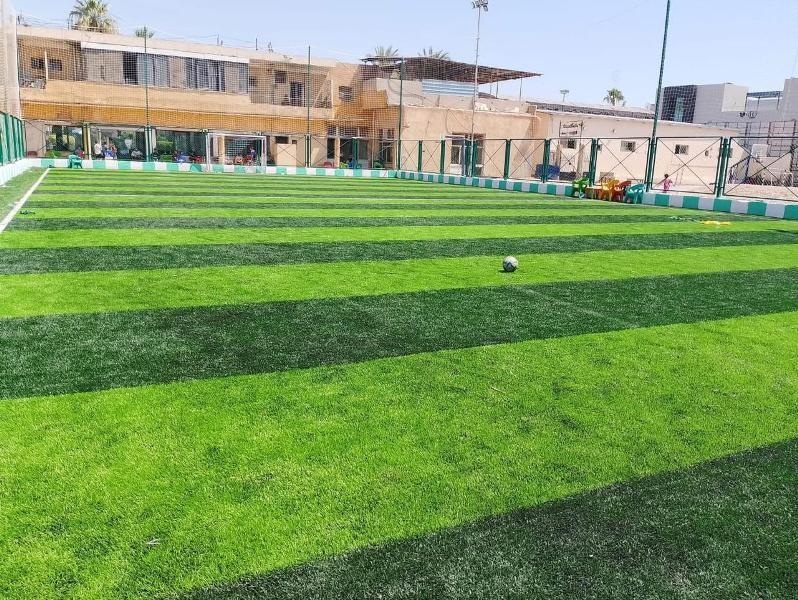 «الإحصاء» يكشف عن عدد المنشآت الرياضية في مصر