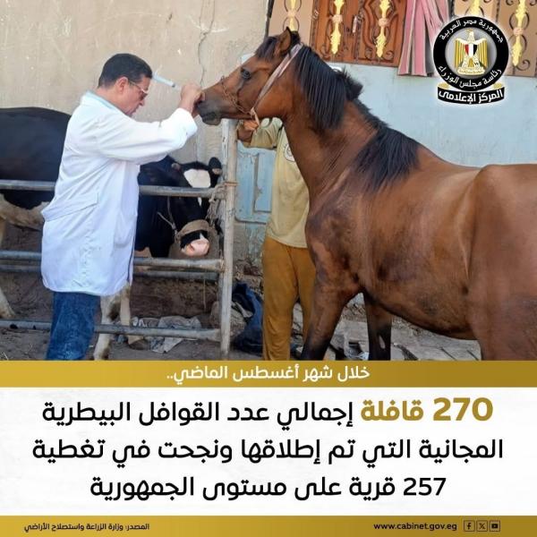 إطلاق ٢٧٠ قافلة بيطرية مجانيةفي ٢٥٧ قرية أغسطس الماضي