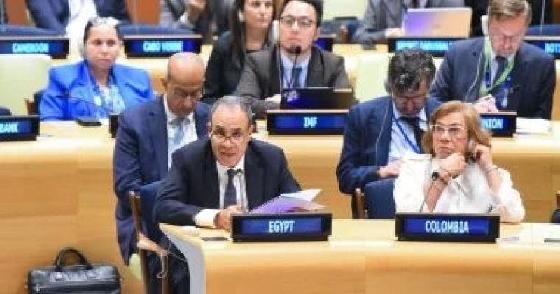 وزير الخارجية: لا استقرار بالمنطقة دون دولة فلسطينية ولن نشارك في نكبة جديدة