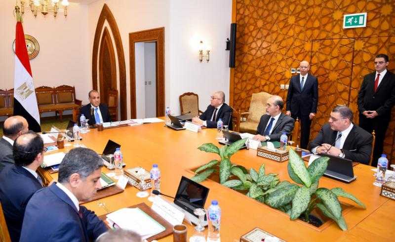 وزير الخارجية يترأس اجتماع مجلس إدارة الوكالة المصرية للشراكة من أجل التنمية