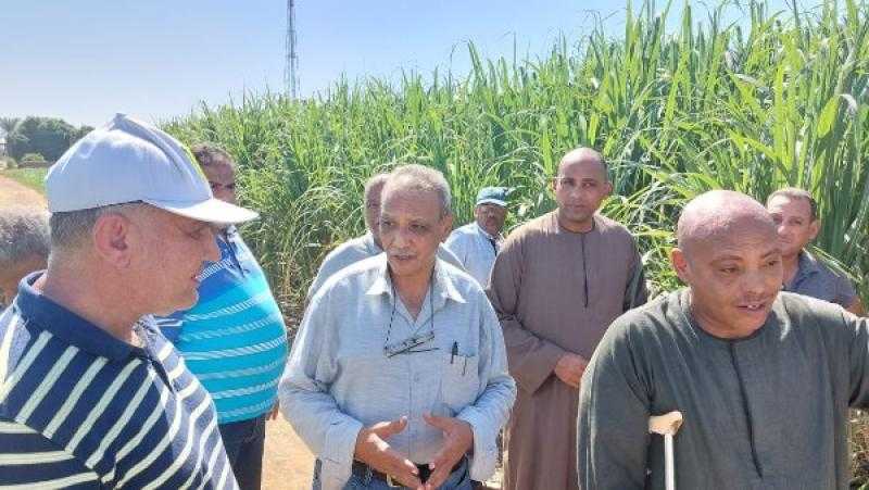 جولة تفقدية لوفد وزارة الزراعة لمتابعة جهود مكافحة الآفات بالأقصر