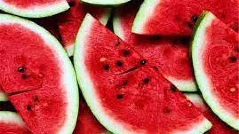 يؤثر على زراعته.. الفلاحين: كيلو تقاوى البطيخ يصل لـ 100 ألف جنيه