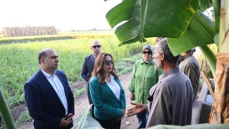 وزيرة التنمية المحلية تتفقد منظومة جمع قش الأرز بالدقهلية والقليوبية