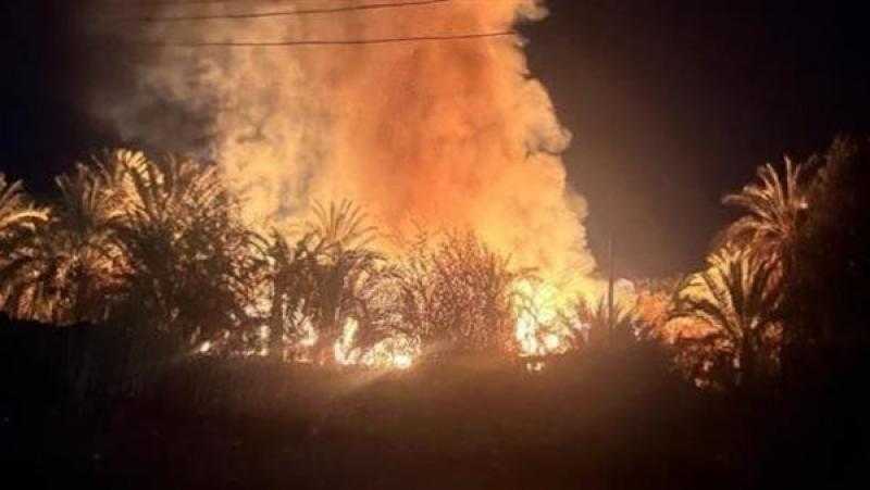 الحماية المدنية تسيطر على حريق بمزرعة نخيل بمدينة موط بالوادي الجديد