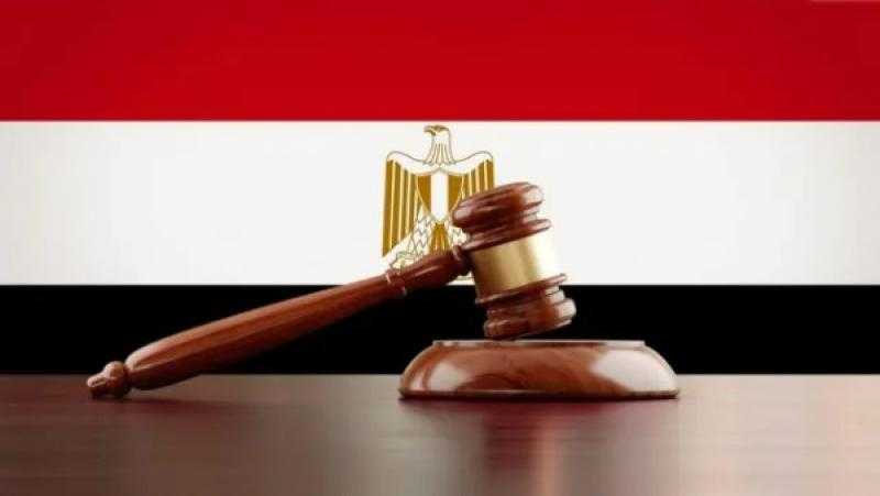 أستاذ قانون: اعتراض الرئيس على قانون الإجراءات يعبر عن دولة الحقوق