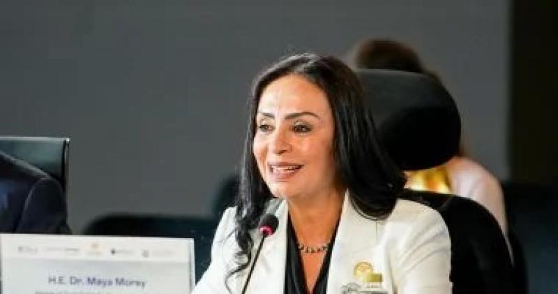 وزيرة التضامن: قانون الضمان يُحوّل الدعم النقدى من مجرد برامج مؤقتة إلى حق تشريعى