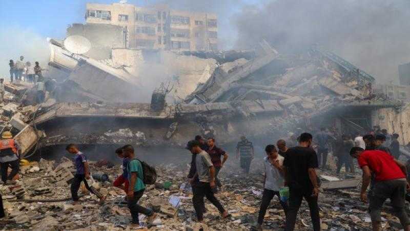 هيئة دعم فلسطين: الدور المصري لم يقتصر على التنمية الداخلية بل امتد ليشمل دوراً إقليمياً