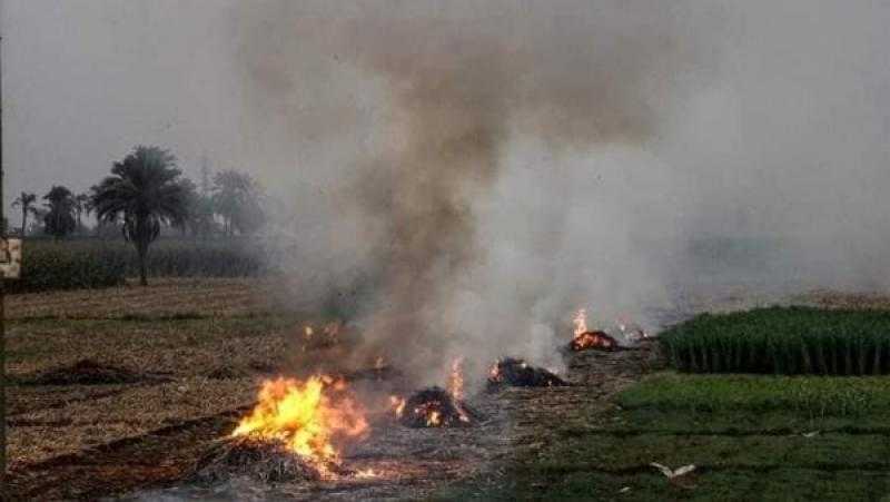البيئة: عقوبات رادعة تصل إلى مليون جنيه لحرق المخلفات