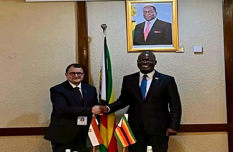 مساعد وزير الخارجية يشارك في افتتاح مؤتمر وزراء خارجية الدول الإفريقية والنوردية بزيمبابوي|صور