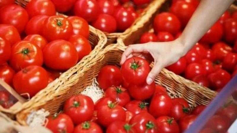 سليمة وآمنة.. شعبة الخضروات ترد على شائعة الطماطم المسرطنة