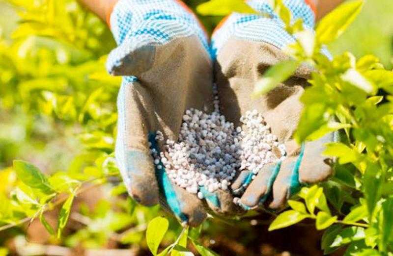 أسعار الأسمدة بالأسواق والجمعيات الزراعية اليوم السبت 4 أكتوبر