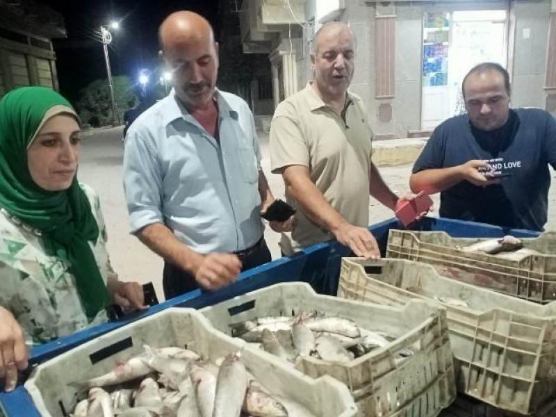 ضبط 400 كيلو أسماك فاسدة بمركز مطوبس في كفرالشيخ