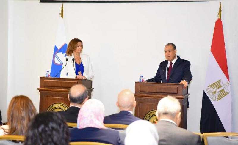 وزير الخارجية: نحقق تقدما كبيرًا فى سبيل إنهاء الحرب علي غزة