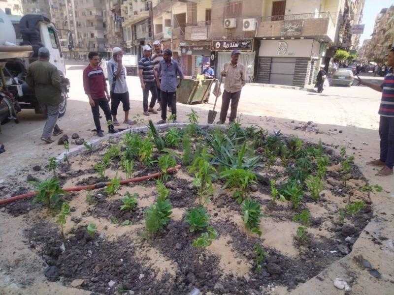 وزيرة التنمية المحلية تتابع المرحلة الرابعة من المبادرة الرئاسية ”100 مليون شجرة”