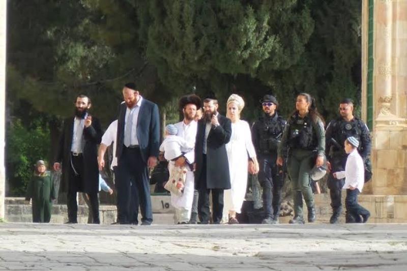 أوقاف فلسطين: مستوطنون اقتحموا الأقصى 26 مرة في سبتمبر