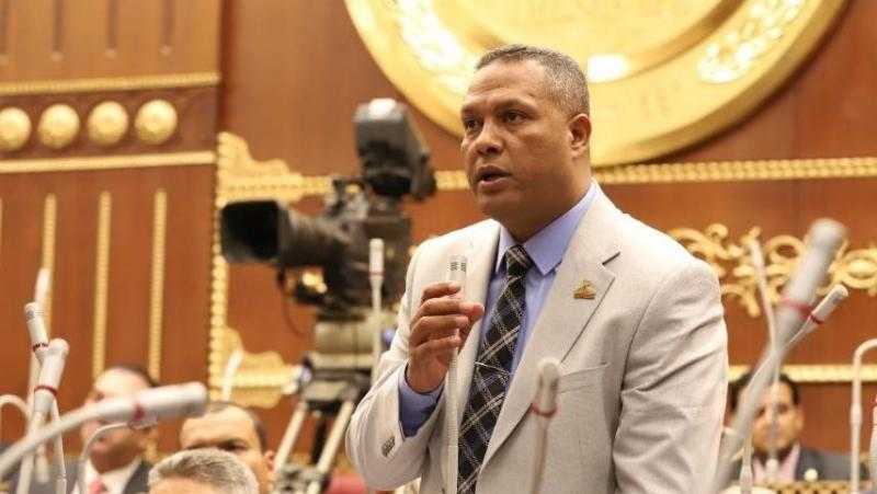 برلماني: اتفاق شرم الشيخ خطوة مفصلية نحو سلام عادل واستقرار شامل لفلسطين والمنطقة