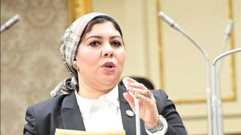 برلمانية: نجاح مفاوضات غزة يؤكد دور مصر التاريخي في دعم القضية الفلسطينية