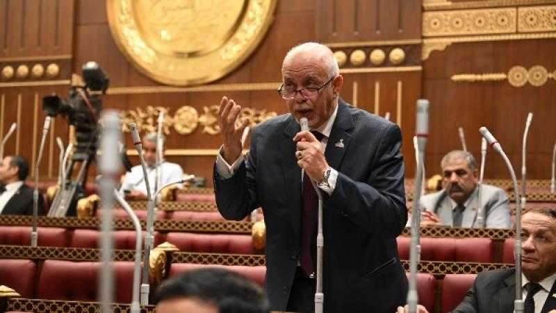 برلماني: مشاهد الفرح في غزة تتويج للدور الحيوي الذي تلعبه مصر