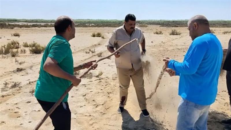 خط أحمر