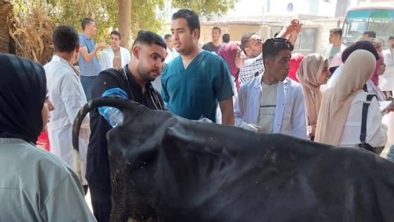 خط أحمر