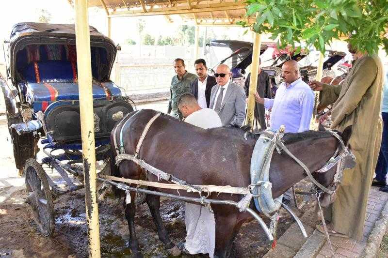 محافظ الأقصر يتفقد مواقف الحناطير وسوق الخضار ويصدر توجيهات عاجلة استعدادا للموسم السياحي