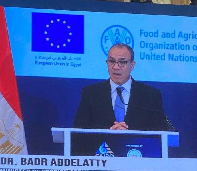 وزير الخارجية: لا تملك أي دولة منع أو عرقلة وصول المياه إلي مصر