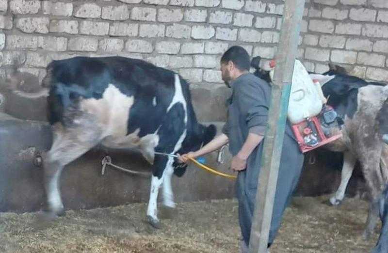”الزراعة” تُحدّث بيانات الوضع الوبائي لمصر في نظام الصحة الحيوانية العالمي