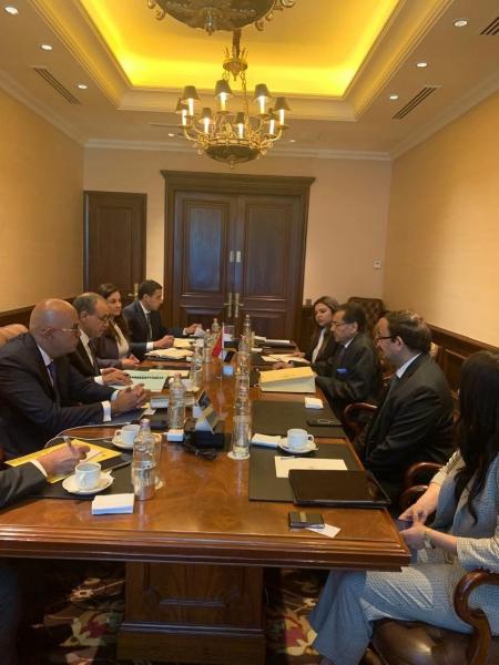 وزير الخارجية يلتقي مدير مجموعة شركات Hinduja