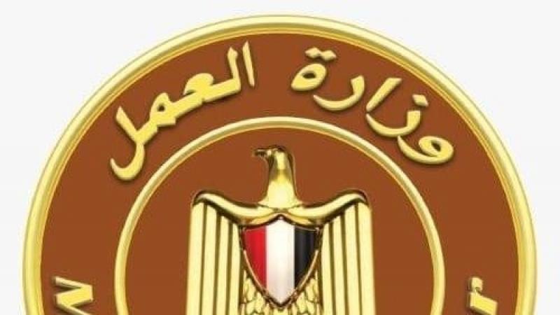 فرص عمل جديدة.. ”العمل” توفر 2914 وظيفة في 72 شركة خاصة لشباب 13 محافظة