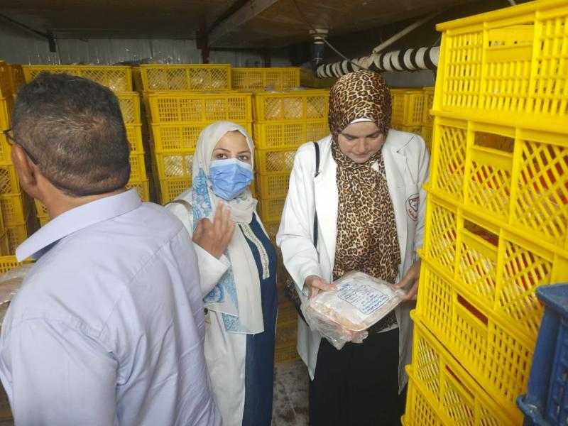 الزراعة: ضبط أكثر من 224 طن لحوم ودواجن وأسماك وتحرير 466 محضرًا