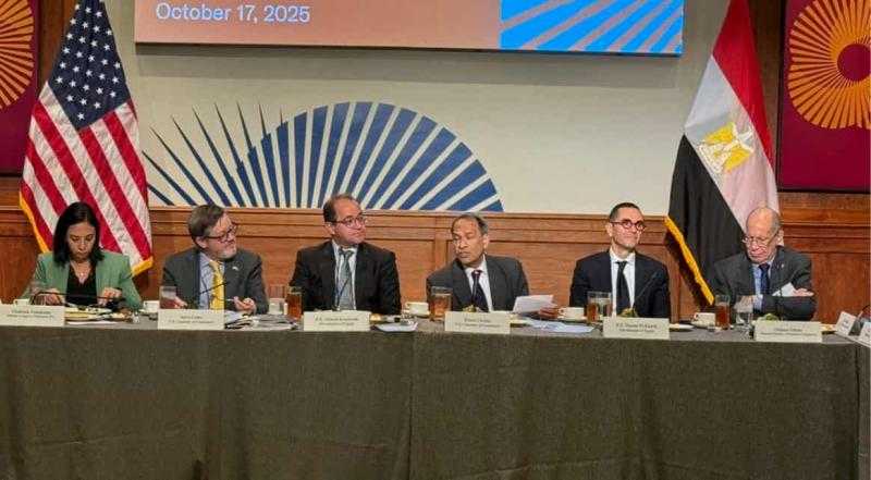 وزير المالية: الفائض الأولي يزيد على 170 مليار جنيه.. والمديونية الحكومية تتراجع