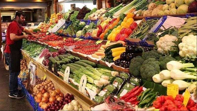 تحذير من شعبة الخضار: لا مبرر لزيادة الأسعار عن 50 قرشًا للكيلو
