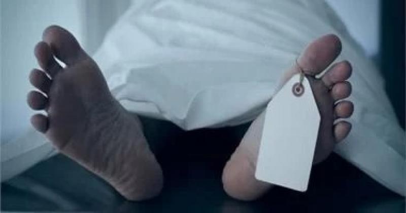 مصرع ربة منزل صدمتها سيارة أسفل كوبرى مشاة فى طوخ.. والنيابة تصرح بالدفن