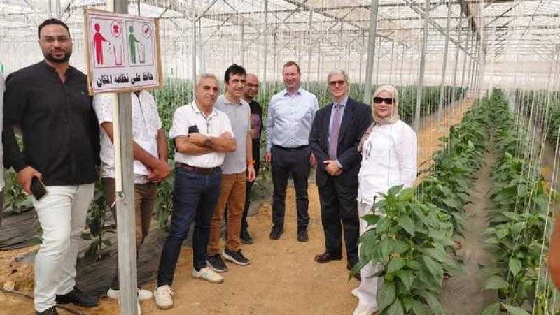 إشادة أوروبية بدور ”سلامة الغذاء” في تعزيز الصادرات المصرية ونجاحها في اجتياز المراجعة الفنية