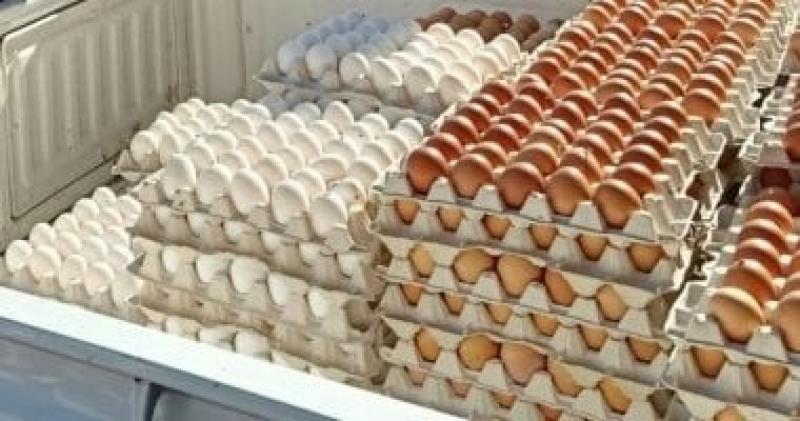 أسعار البيض اليوم.. تراجع سعر كرتونة البيض بالأسواق