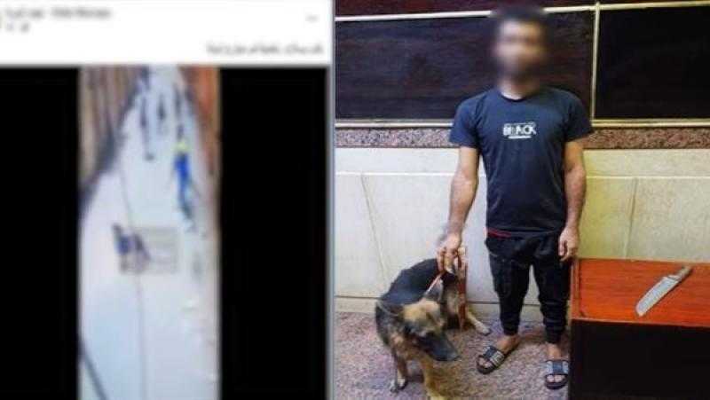 حبس المتهم بواقعة “كلب الجيزة” 4 أيام بتهمة ترويع المواطنين