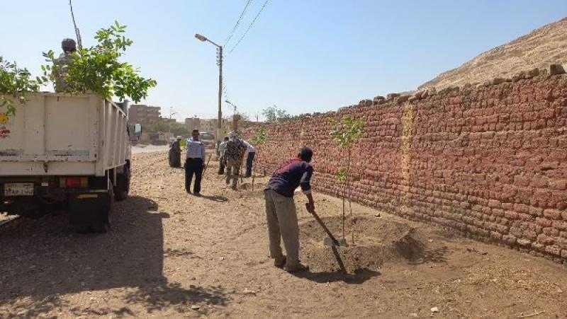 محافظ أسيوط: استمرار أعمال النظافة والتشجير ورفع المخلفات بطريق درنكة