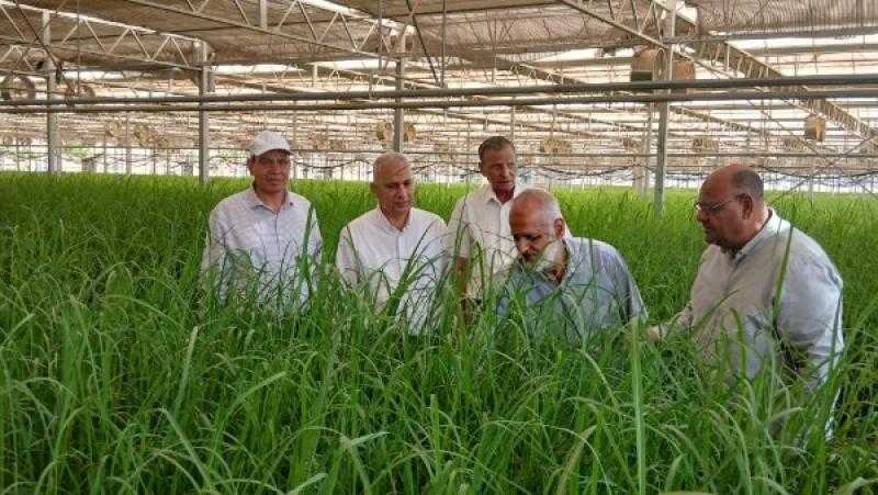 البحوث الزراعية: رفع الطاقة الإنتاجية إلى 5 ملايين شتلة لقصب السكر بمحطتي كوم أمبو ووادي الصعايدة