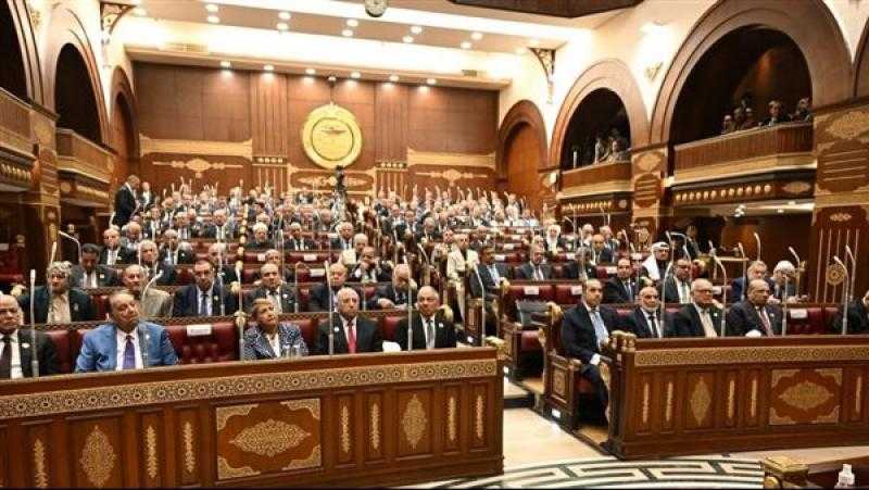 وزير الشؤون النيابية: اللجان النوعية تمثل القلب النابض للعمل البرلماني