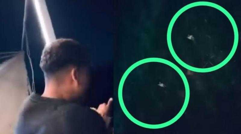 الداخلية تتحرك لتحديد هوية المتورطين في واقعة “القطة والنيل”